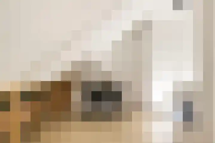 Nieuwe Maanderbuurtweg 69 Ede thumbnail 26