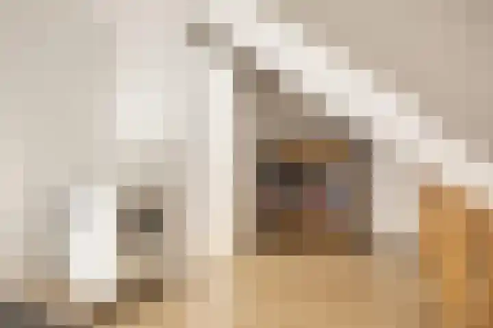 Nieuwe Maanderbuurtweg 69 Ede thumbnail 27