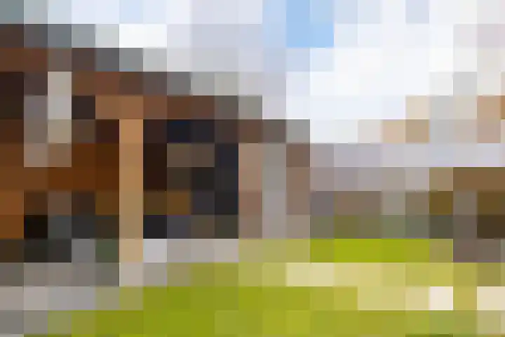 Nieuwe Maanderbuurtweg 69 Ede thumbnail 29