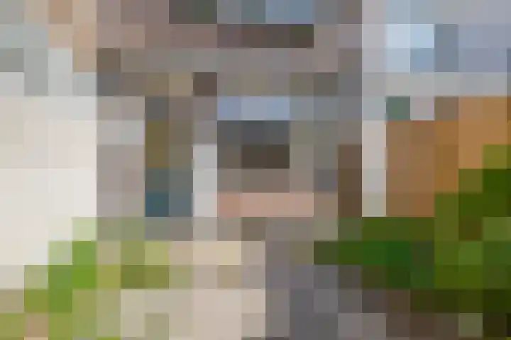 Nieuwe Maasstraat 106 Schiedam thumbnail 18