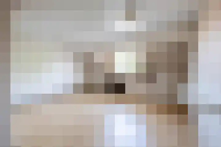 Nieuwe Maasstraat 106 Schiedam thumbnail 31
