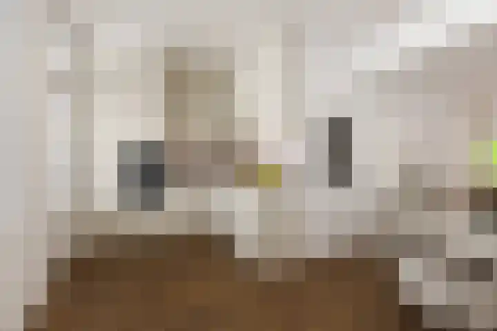 Nieuwe Maasstraat 106 Schiedam thumbnail 4
