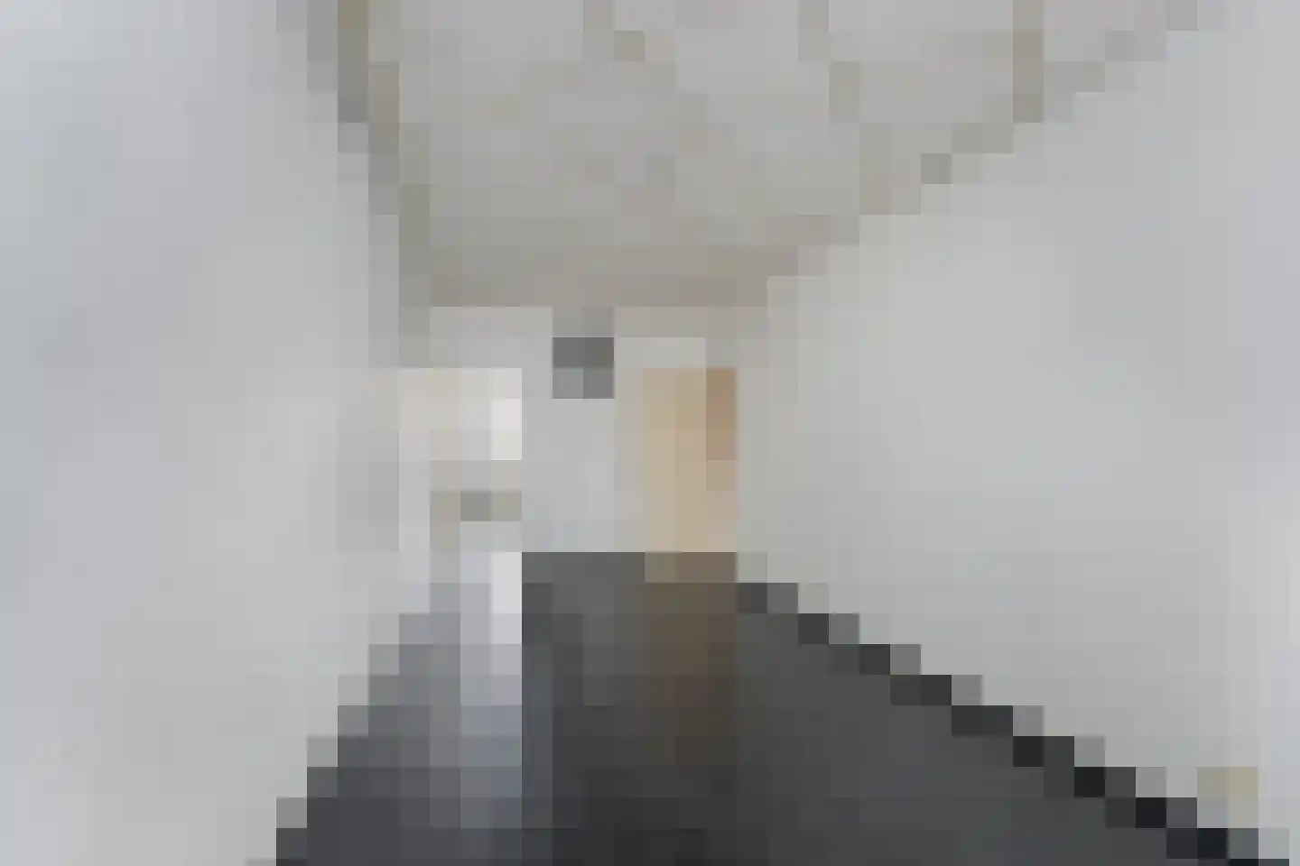 Nieuwe Maasstraat 112 Schiedam thumbnail 16