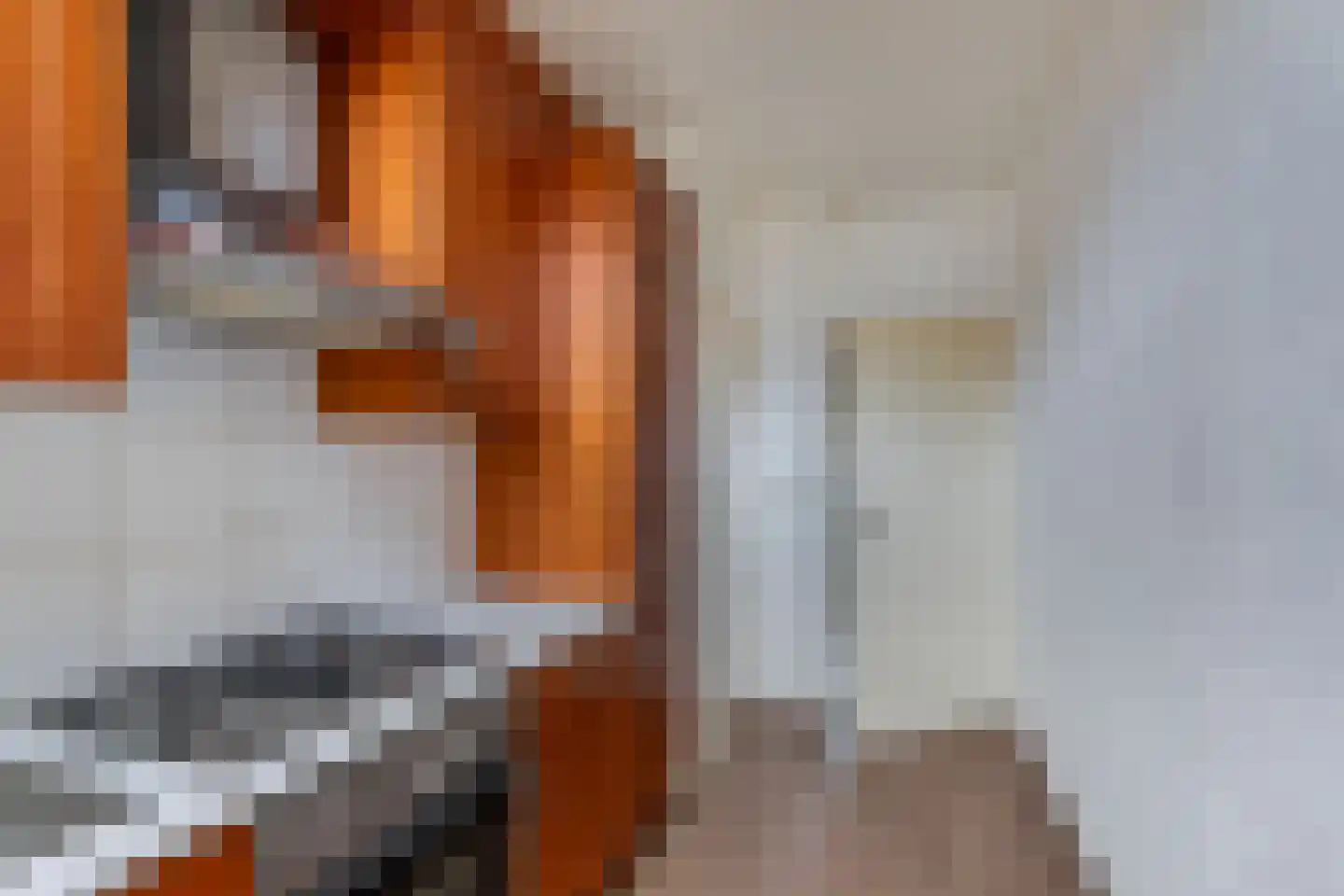 Nieuwe Maasstraat 112 Schiedam thumbnail 19