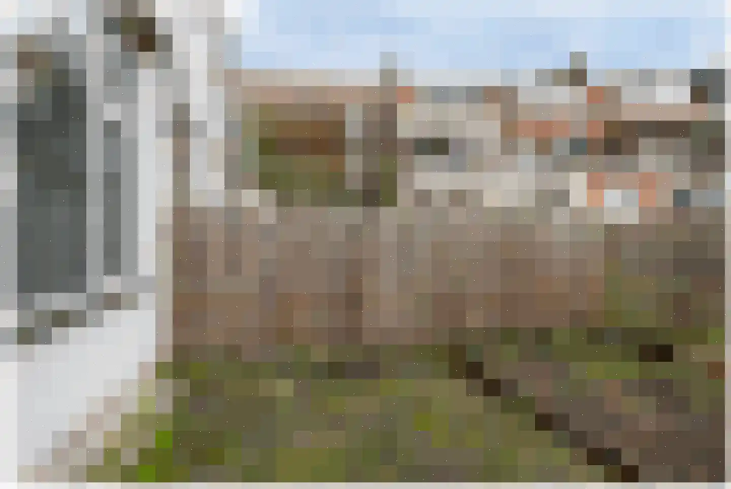 Nieuwe Maasstraat 112 Schiedam thumbnail 20