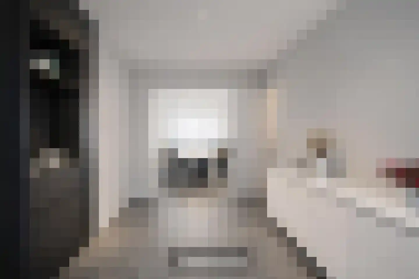 Nieuwe Maasstraat 112 Schiedam thumbnail 26