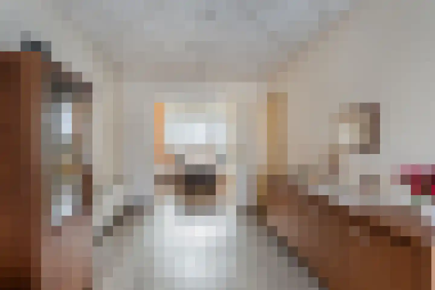 Nieuwe Maasstraat 112 Schiedam thumbnail 27