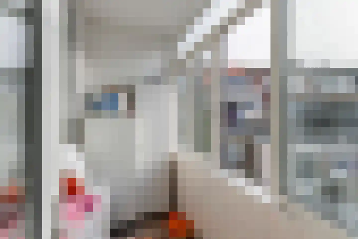 Nieuwe Maasstraat 112 Schiedam thumbnail 33
