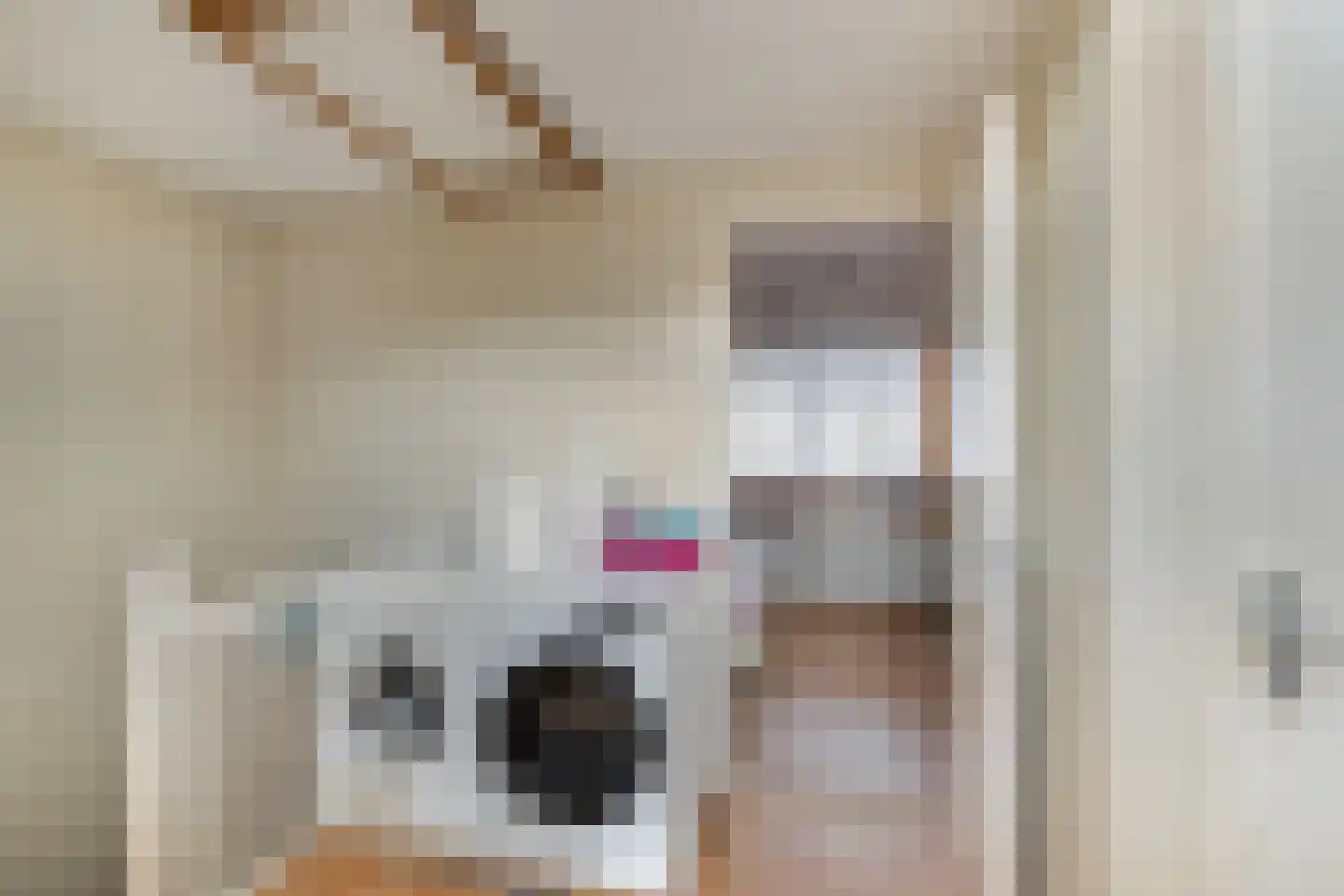 Nieuwe Maasstraat 112 Schiedam thumbnail 36