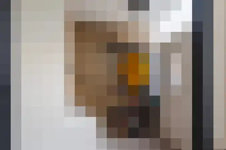 Nieuwe Maasstraat 20 Schiedam thumbnail 13