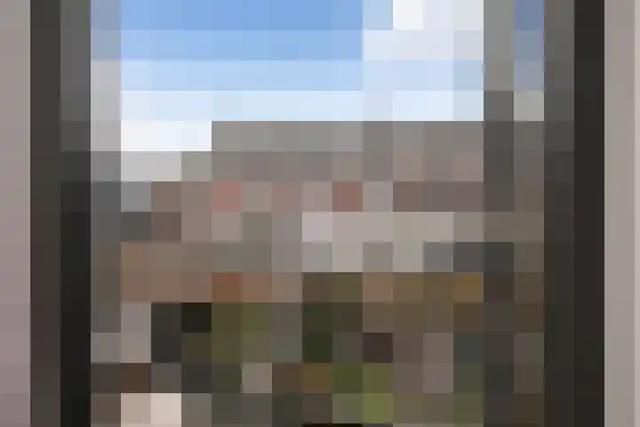 Nieuwe Maasstraat 20 Schiedam thumbnail 19