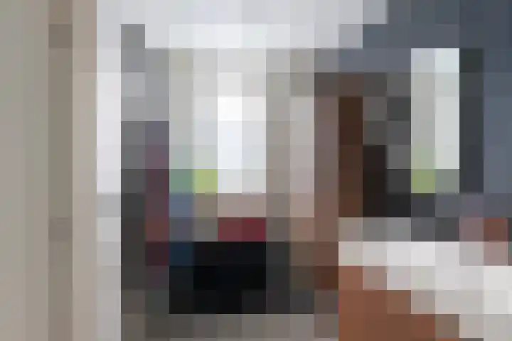 Nieuwe Maasstraat 20 Schiedam thumbnail 22