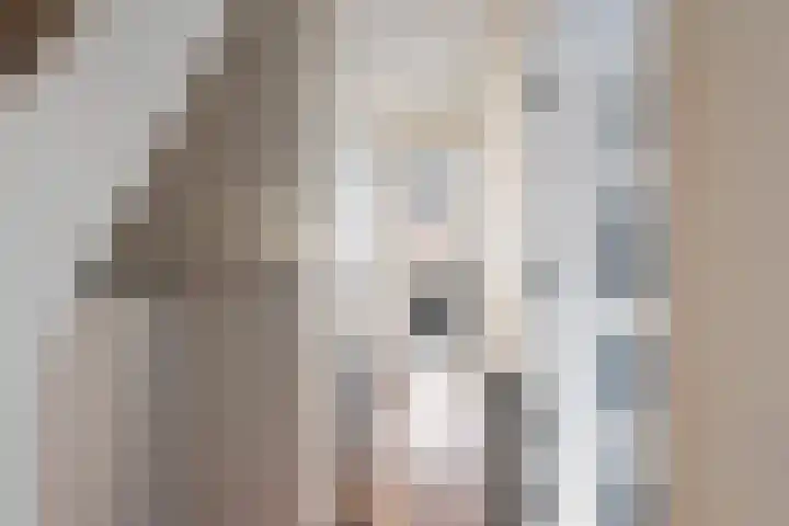 Nieuwe Maasstraat 20 Schiedam thumbnail 23