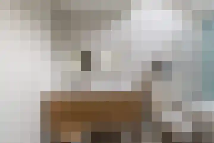 Nieuwe Maasstraat 20 Schiedam thumbnail 31