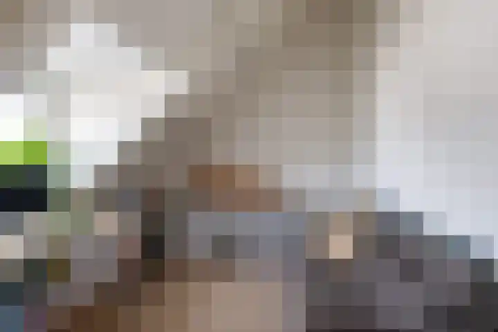Nieuwe Maasstraat 20 Schiedam thumbnail 34