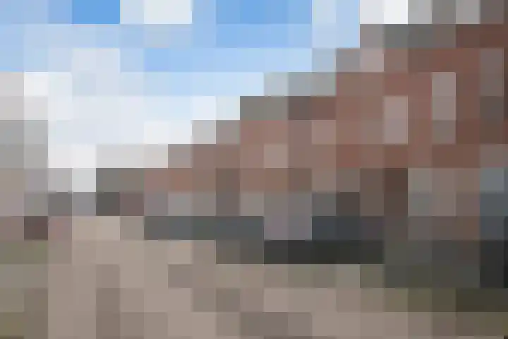 Nieuwe Maasstraat 20 Schiedam thumbnail 37