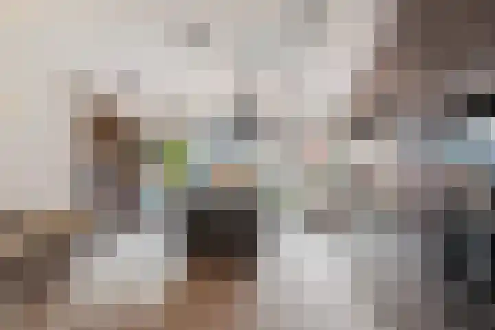 Nieuwe Maasstraat 20 Schiedam thumbnail 6