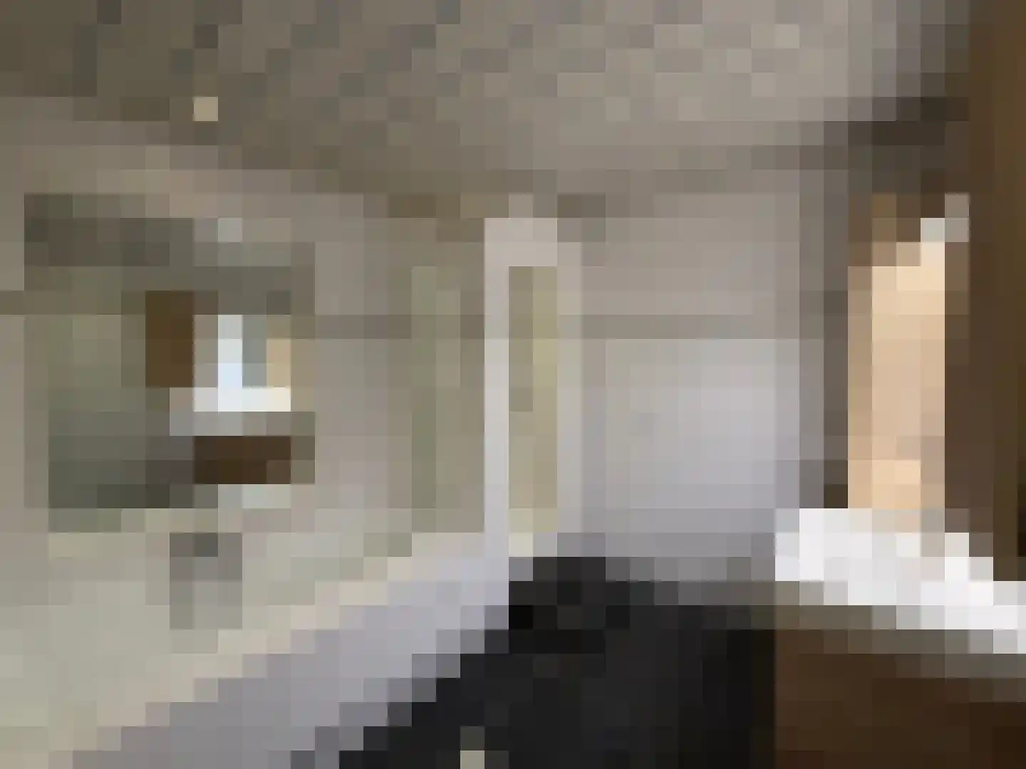 Nieuwe Maasstraat 34 Schiedam thumbnail 14