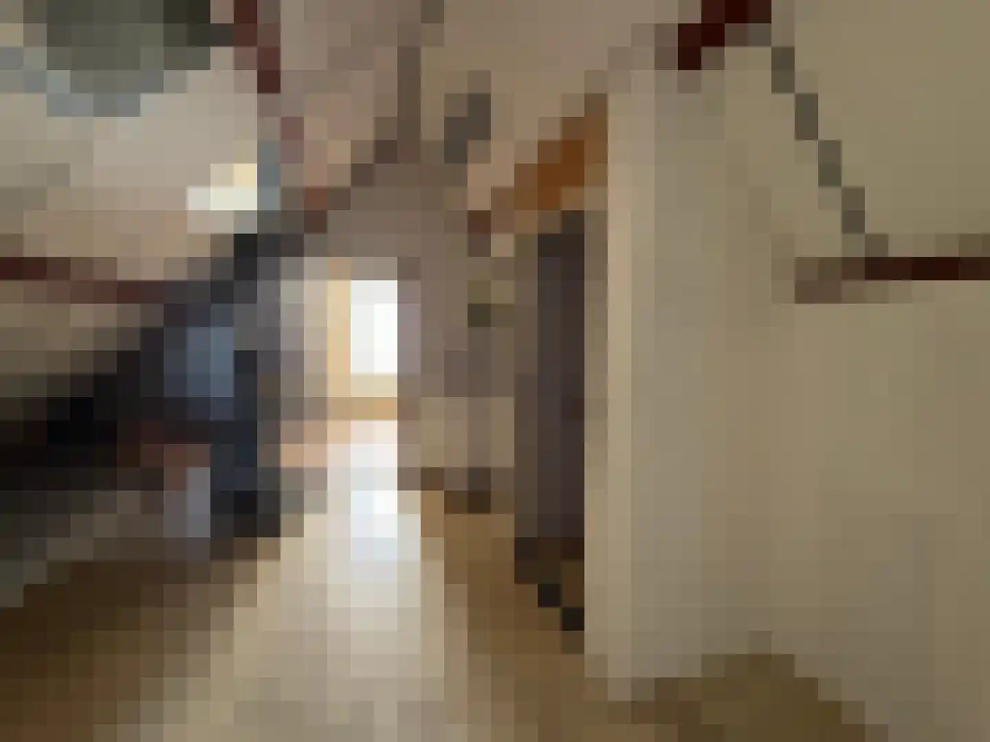 Nieuwe Maasstraat 34 Schiedam thumbnail 19