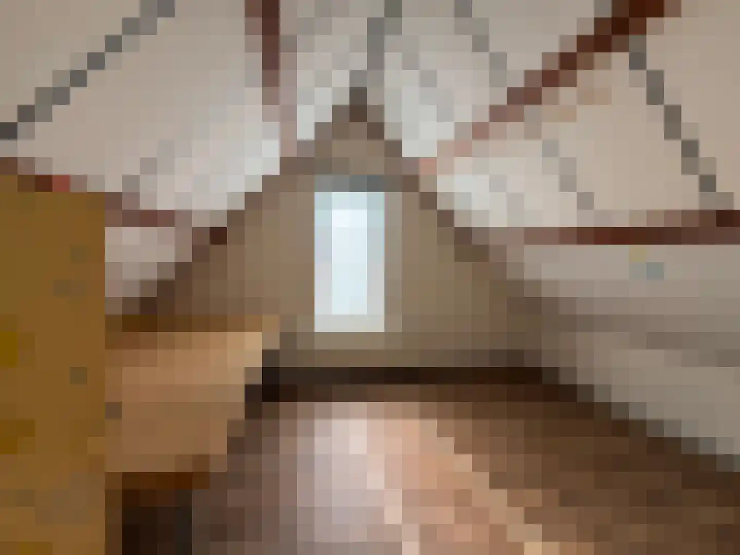 Nieuwe Maasstraat 34 Schiedam thumbnail 21
