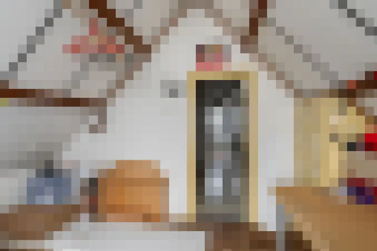 Nieuwe Maasstraat 34 Schiedam thumbnail 24