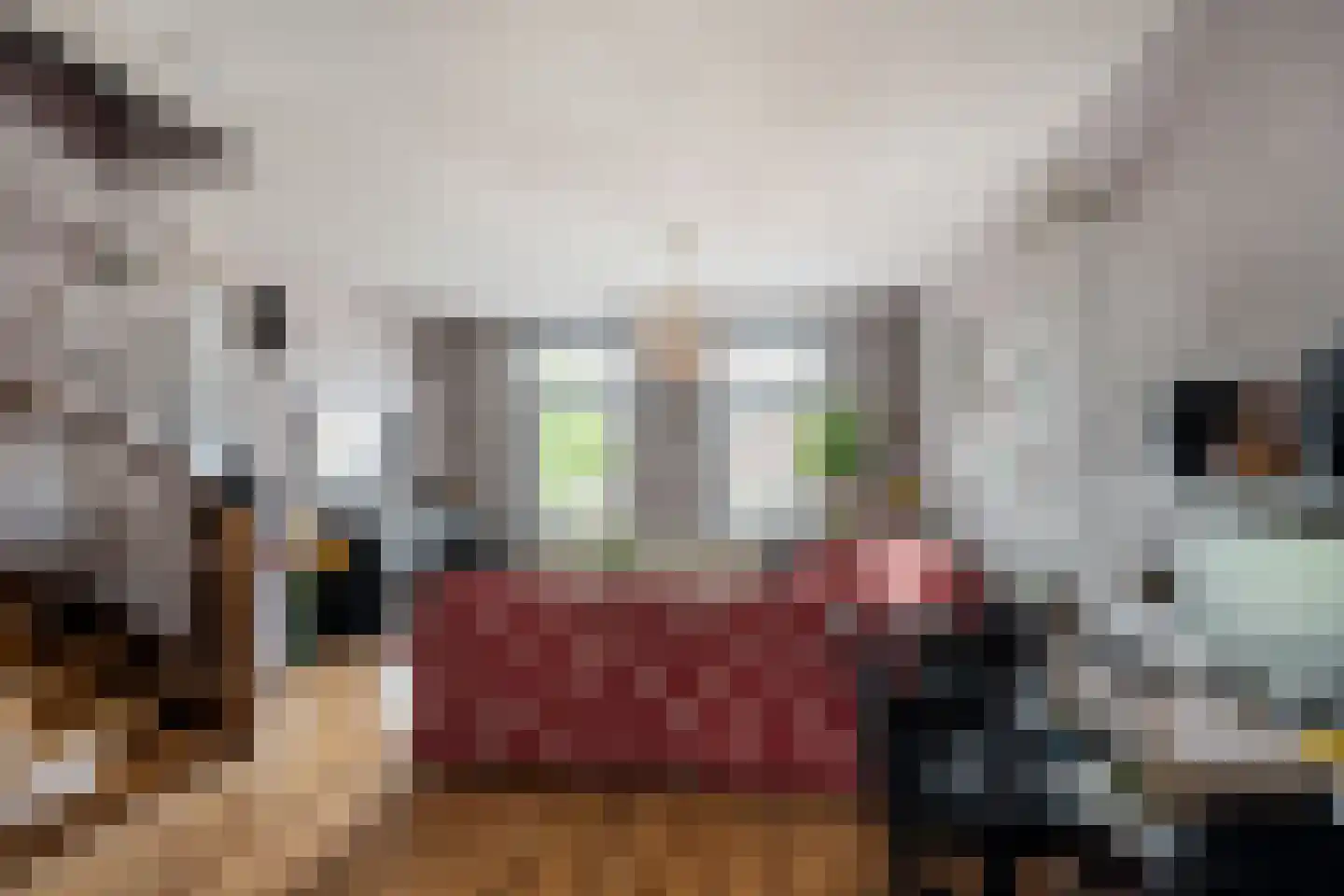 Nieuwe Maasstraat 34 Schiedam thumbnail 5