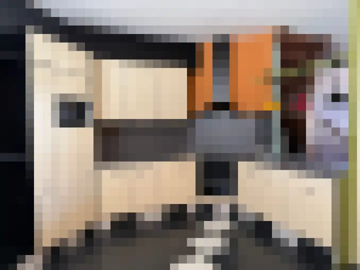 Nieuwe Maasstraat 34 Schiedam thumbnail 7