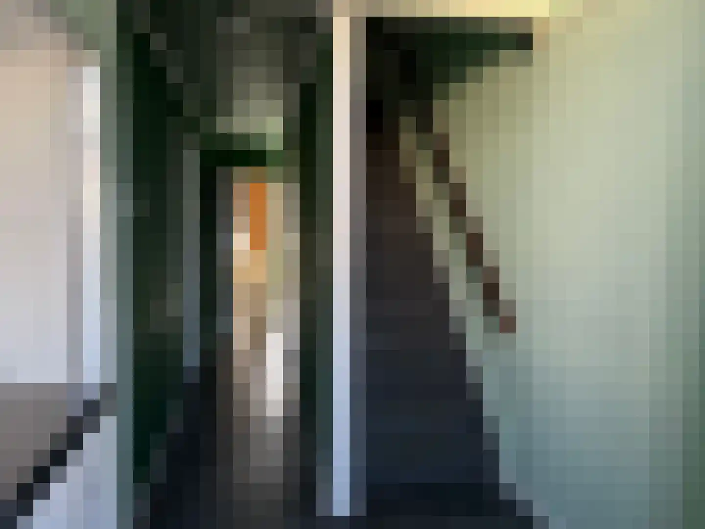 Nieuwe Maasstraat 34 Schiedam thumbnail 9