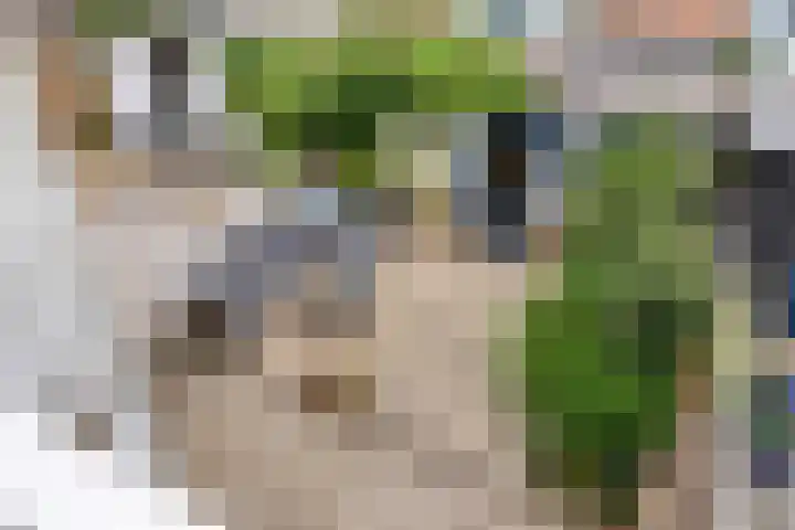 Nieuwe Maasstraat 48 Schiedam thumbnail 27