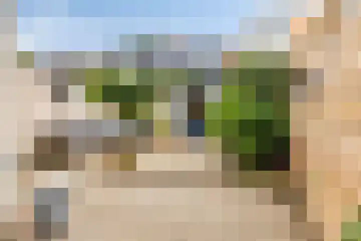 Nieuwe Maasstraat 48 Schiedam thumbnail 28