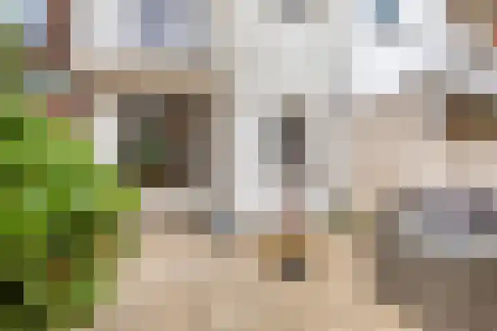 Nieuwe Maasstraat 48 Schiedam thumbnail 30