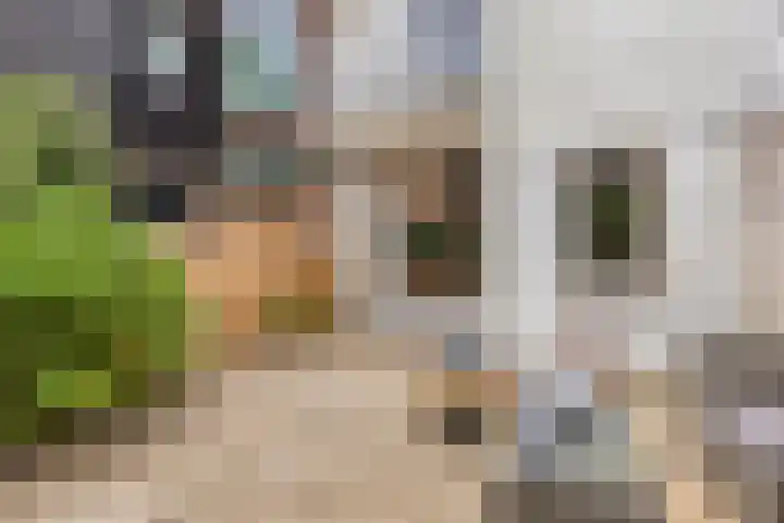 Nieuwe Maasstraat 48 Schiedam thumbnail 31