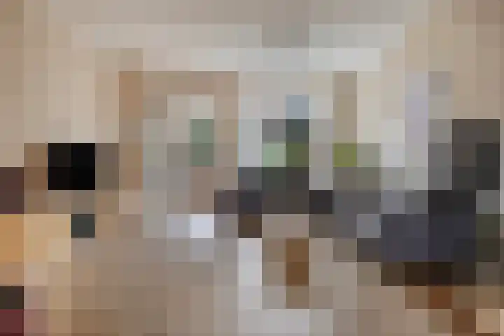 Nieuwe Maasstraat 48 Schiedam thumbnail 4