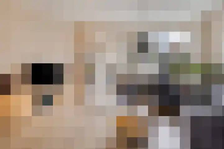Nieuwe Maasstraat 48 Schiedam thumbnail 5