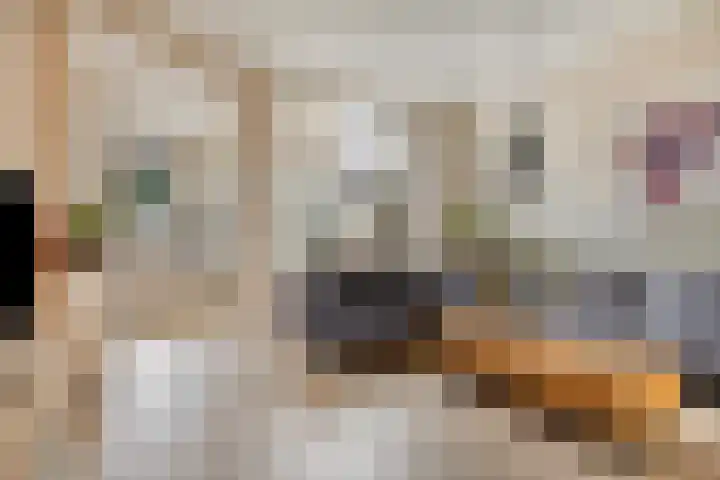 Nieuwe Maasstraat 48 Schiedam thumbnail 6