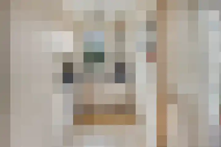 Nieuwe Maasstraat 48 Schiedam thumbnail 7