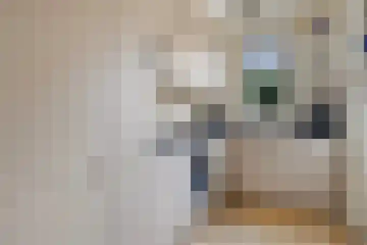 Nieuwe Maasstraat 48 Schiedam thumbnail 8