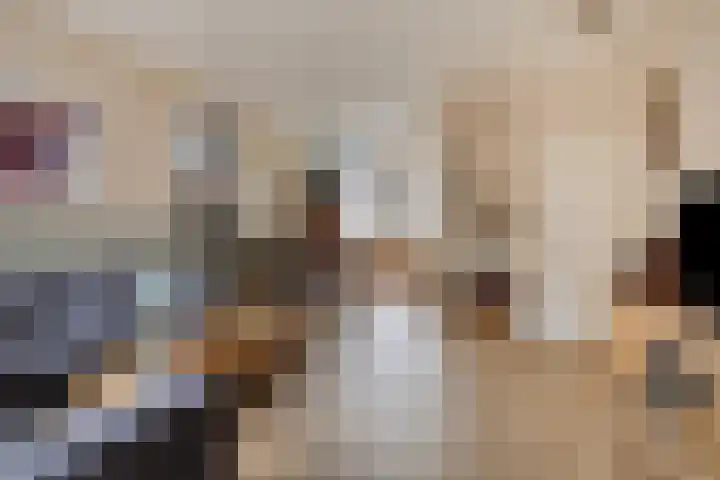 Nieuwe Maasstraat 48 Schiedam thumbnail 9