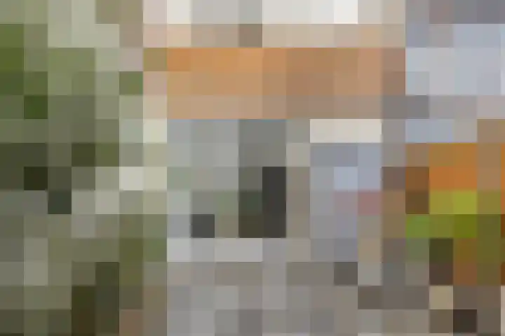 Nieuwe Maasstraat 92 Schiedam thumbnail 12