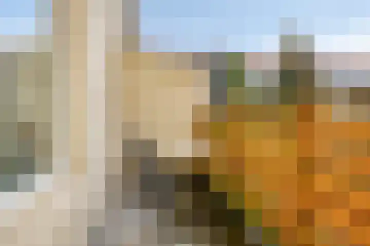 Nieuwe Maasstraat 92 Schiedam thumbnail 16