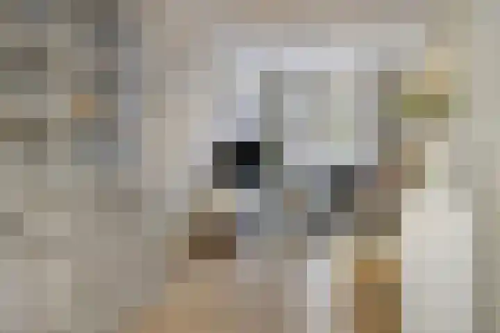 Nieuwe Maasstraat 92 Schiedam thumbnail 7