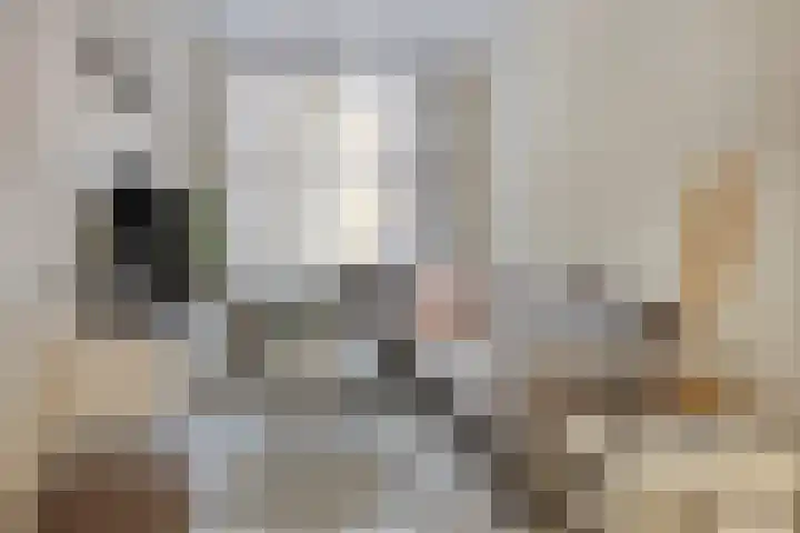 Nieuwe Maasstraat 92 Schiedam thumbnail 8