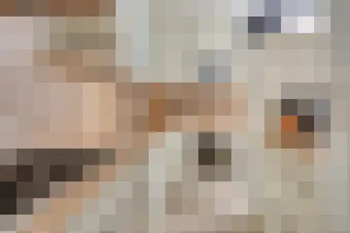 Nieuwe Maasstraat 92 Schiedam thumbnail 9