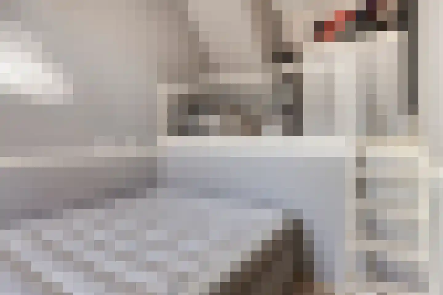 Nieuwe Maat 35 Lichtenvoorde thumbnail 25
