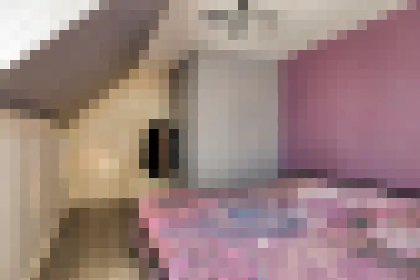 Nieuwe Maat 35 Lichtenvoorde thumbnail 28