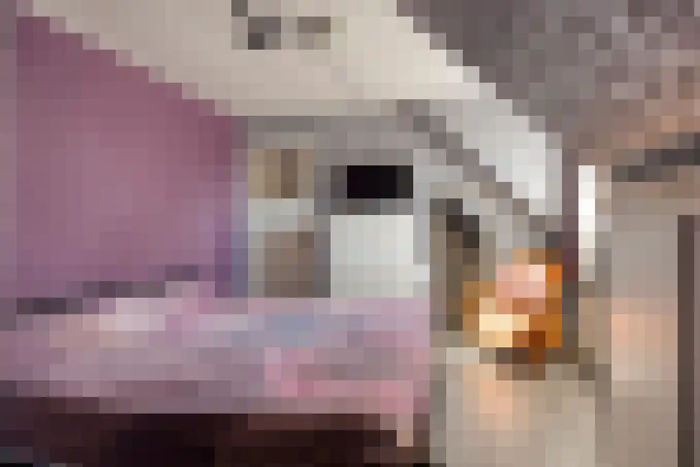 Nieuwe Maat 35 Lichtenvoorde thumbnail 29