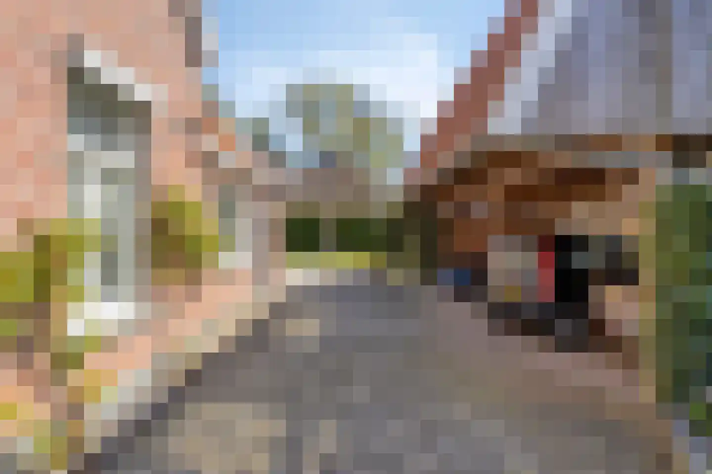 Nieuwe Maat 35 Lichtenvoorde thumbnail 31