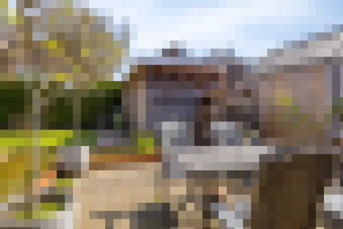 Nieuwe Maat 35 Lichtenvoorde thumbnail 33