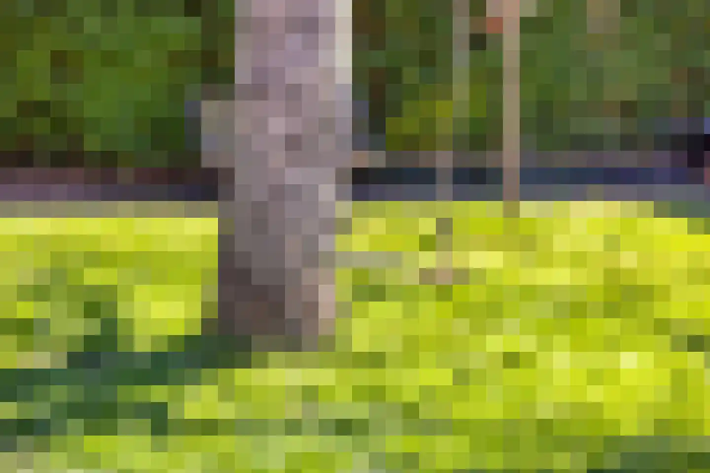 Nieuwe Maat 35 Lichtenvoorde thumbnail 34