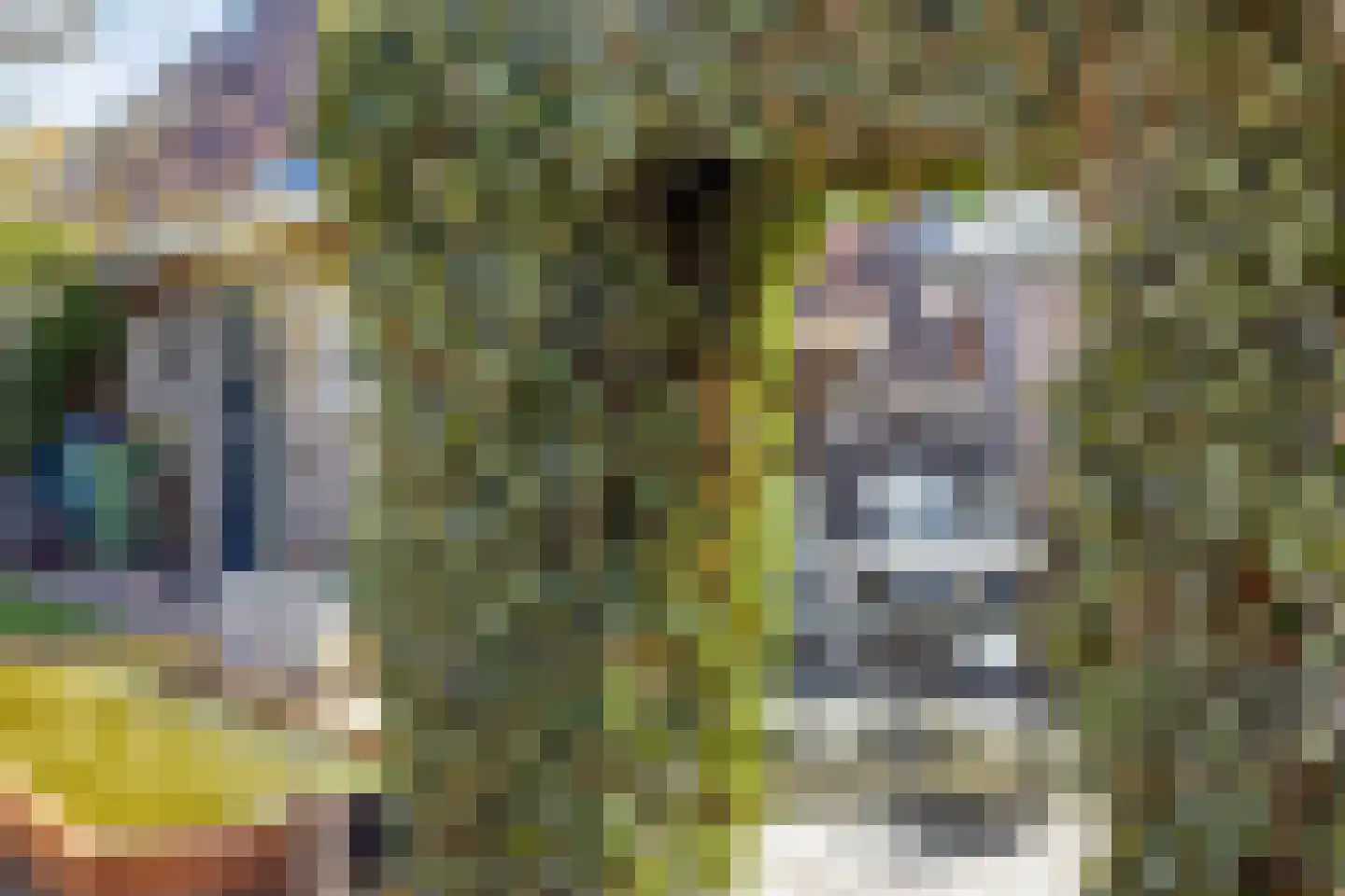 Nieuwe Maat 35 Lichtenvoorde thumbnail 35